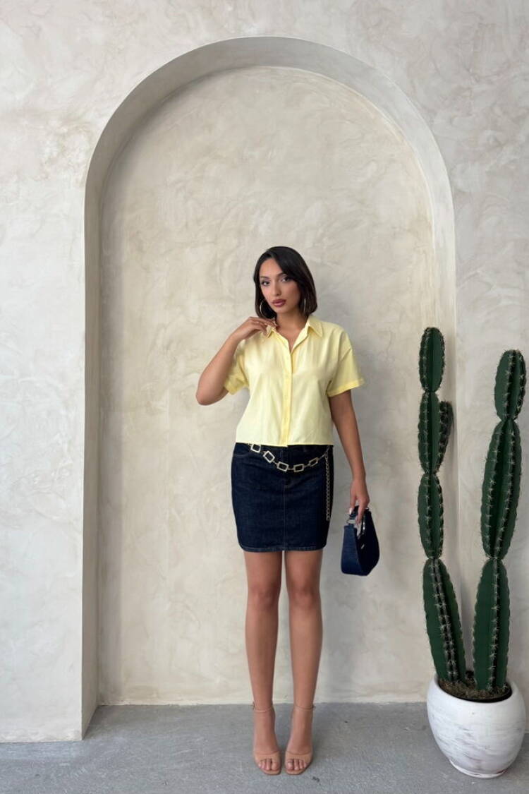 Butterfly Detailed Wholesale Shirt|