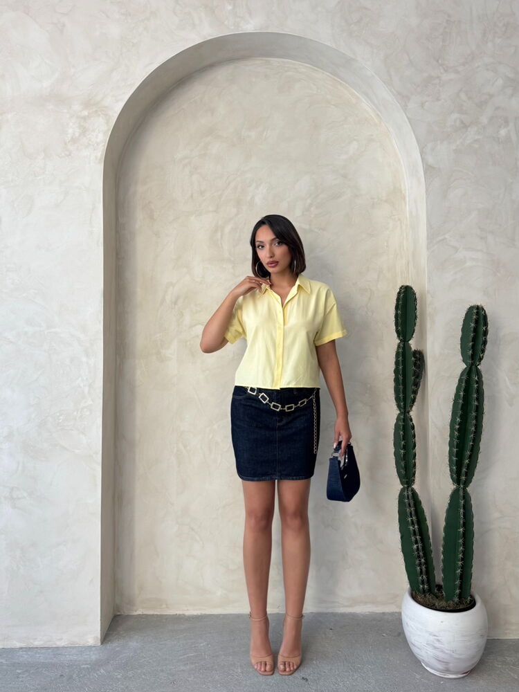 Butterfly Detailed Wholesale Shirt|