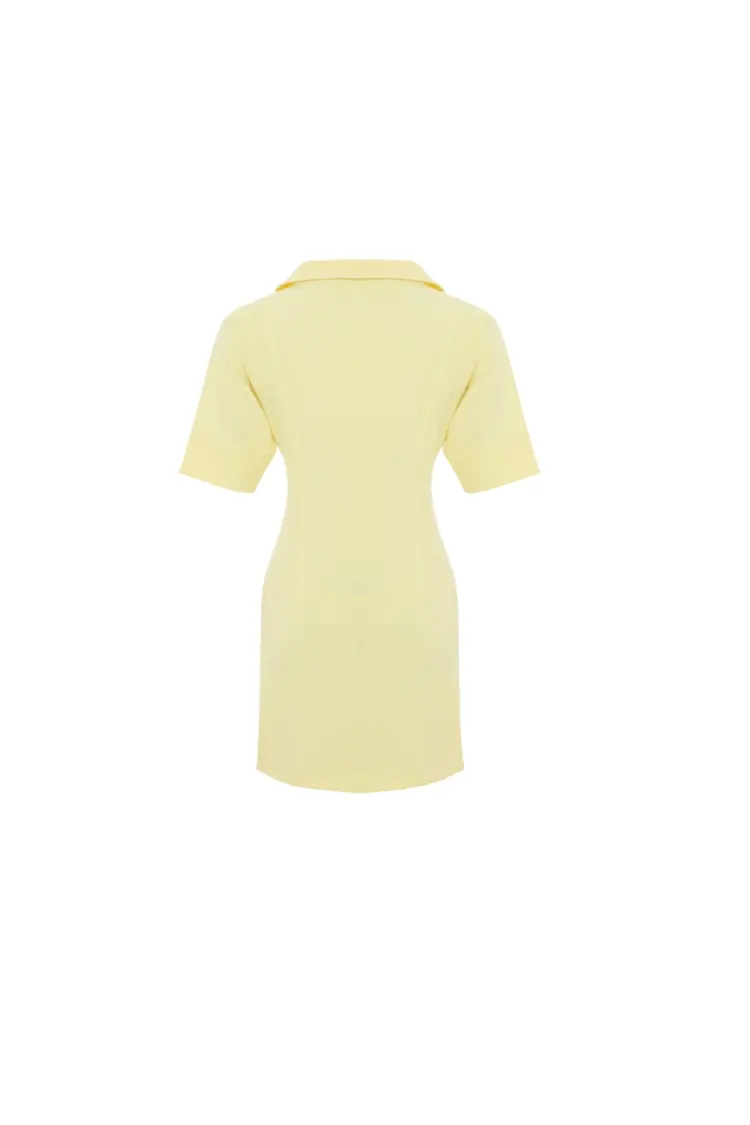 Shirt Collar Dress