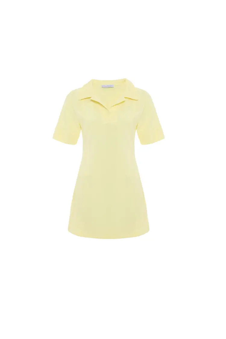 Shirt Collar Dress
