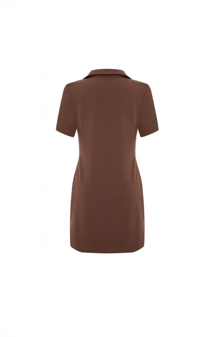Shirt Collar Dress