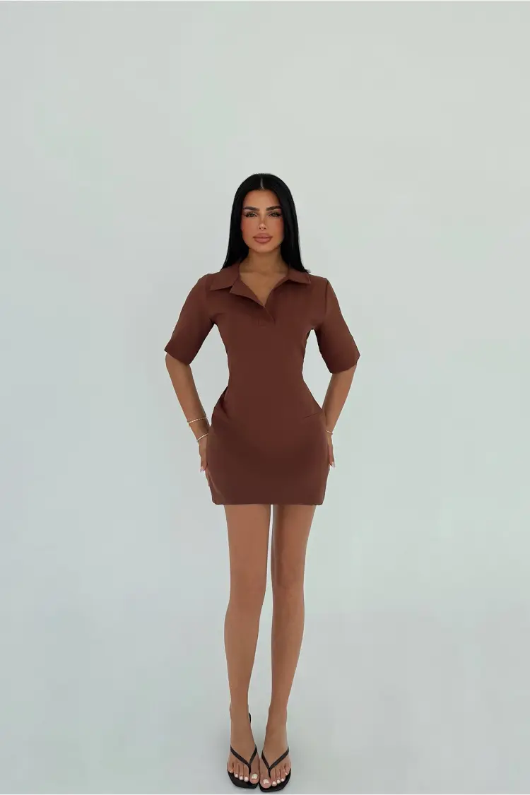 Shirt Collar Dress
