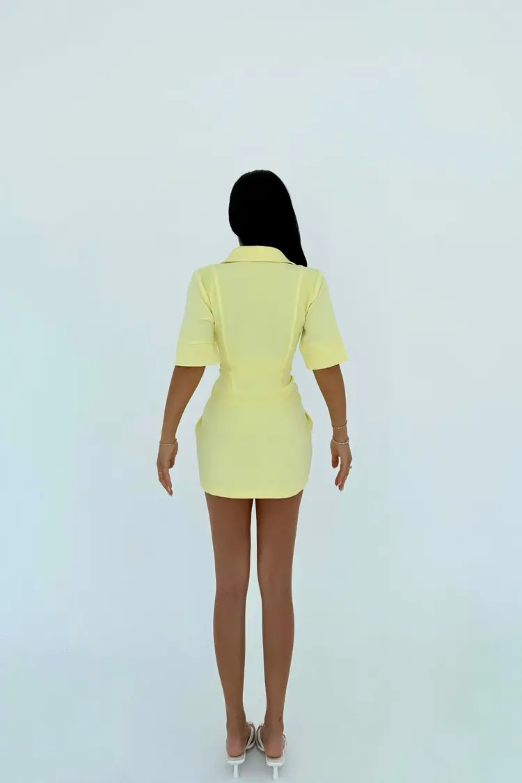Shirt Collar Dress