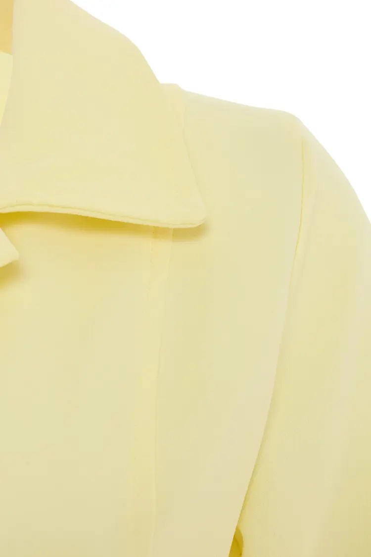 Shirt Collar Dress