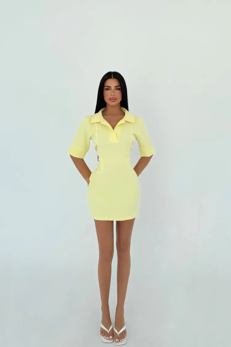 Shirt Collar Dress
