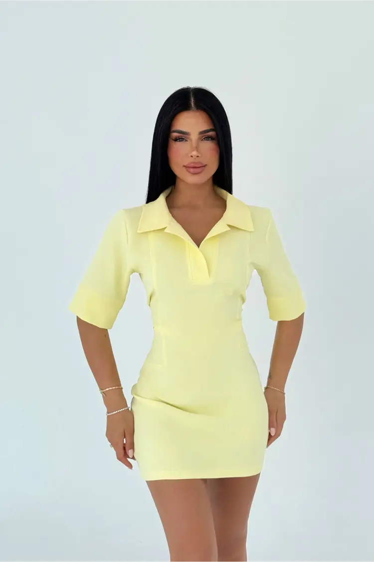 Shirt Collar Dress