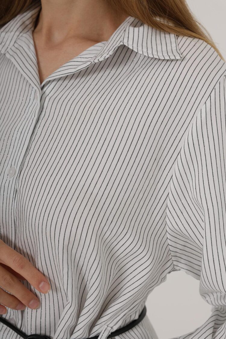 Silvery Striped Belted Shirt