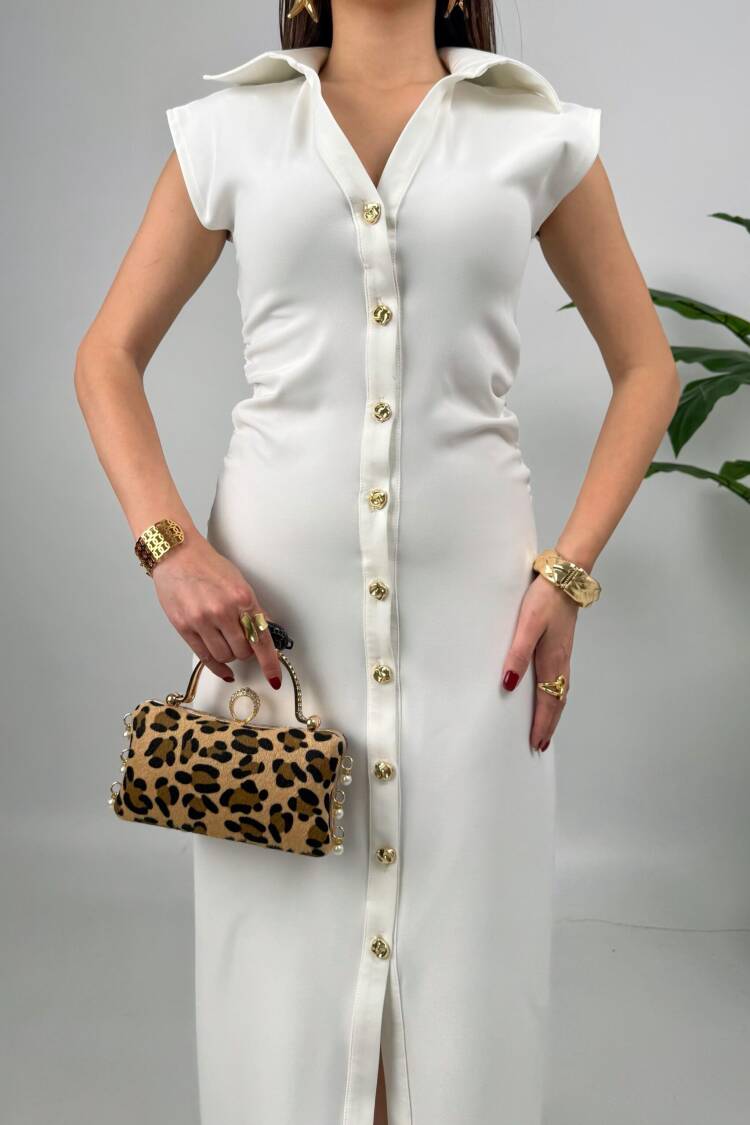 Front Buttoned Dress