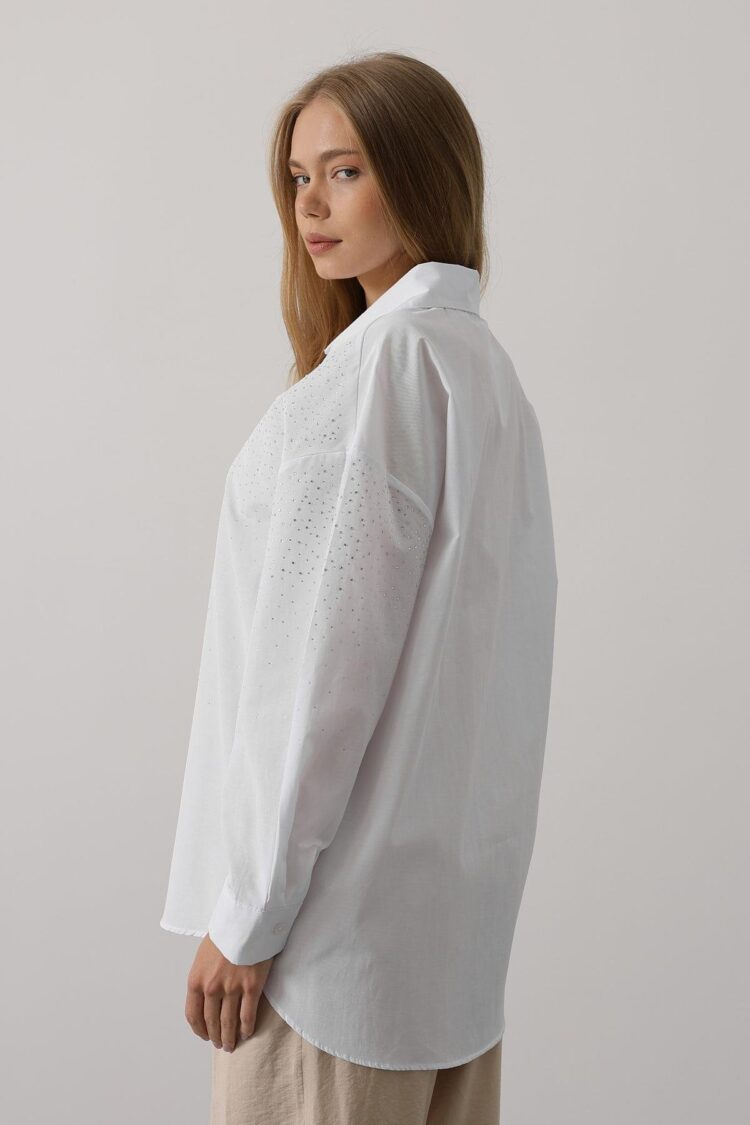 Stone Pointed Collar Shirt