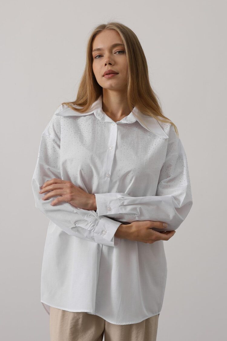 Stone Pointed Collar Shirt
