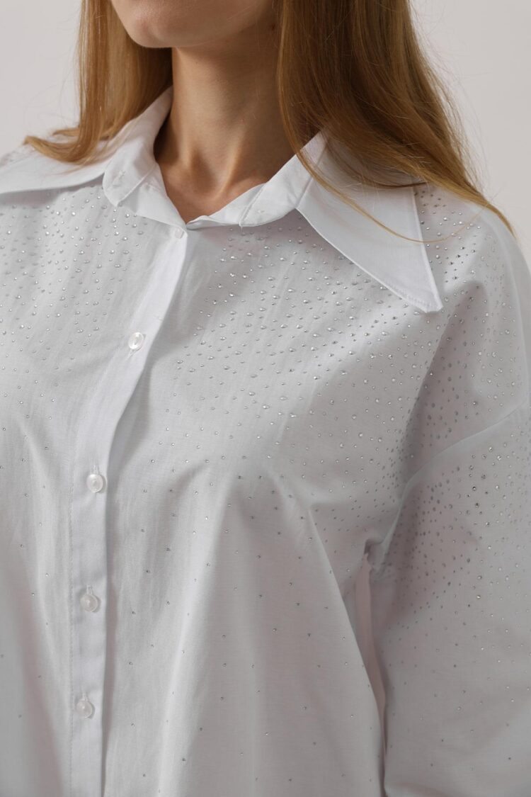 Stone Pointed Collar Shirt