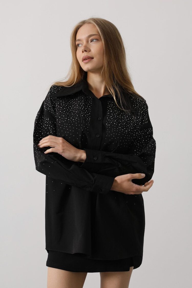 Stone Pointed Collar Shirt