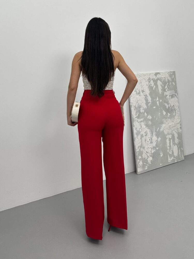 Pleated Palazzo Pants