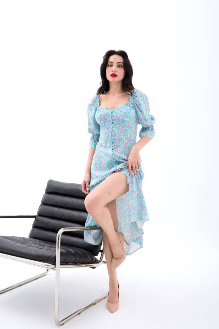 Fit And Flare Dress With Floral Ruffle Sleeves