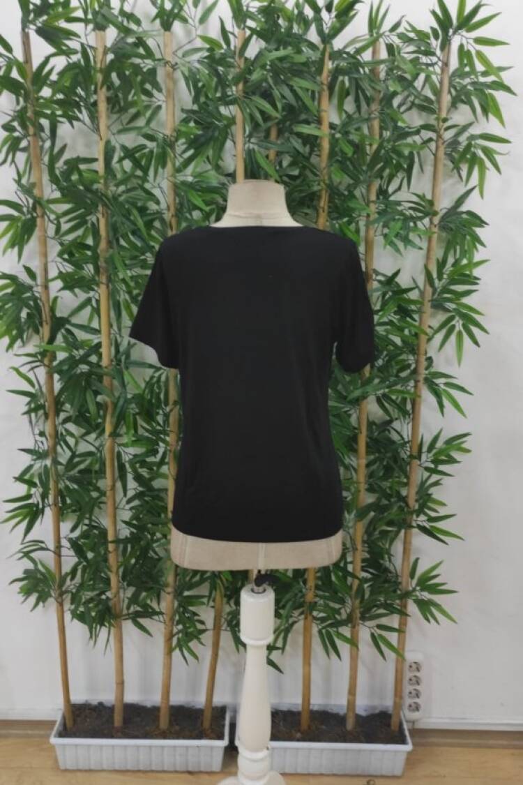 Black Sexy Casual Elegant Blouse