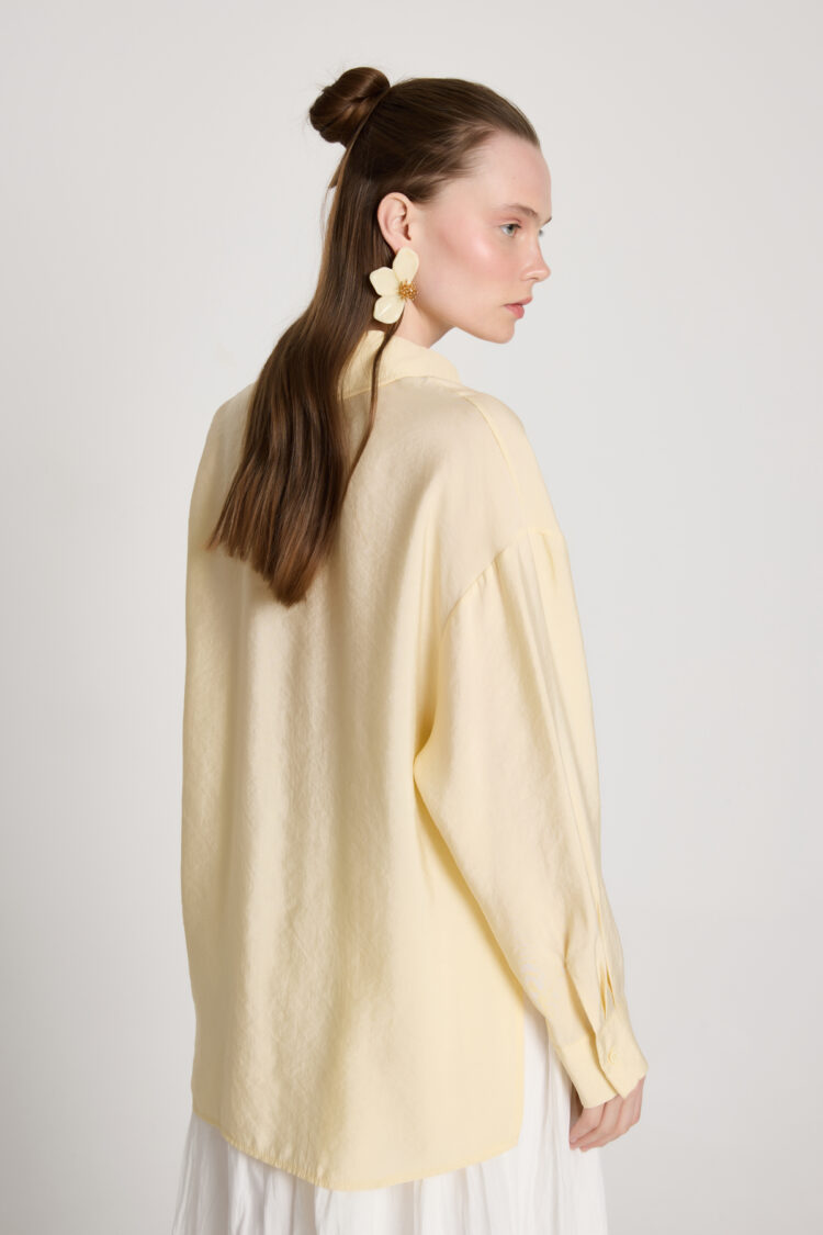 Casual Elegant Shirt