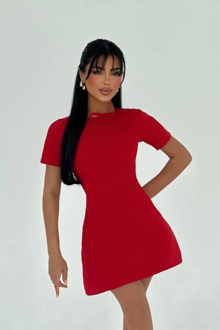 A-Line Mini Dress With Short Sleeves - Brand: EYYO ATELIER - Women's Clothing Wholesale - Globality Store