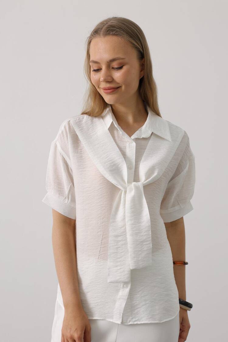 Casual Elegant Formal Shirt