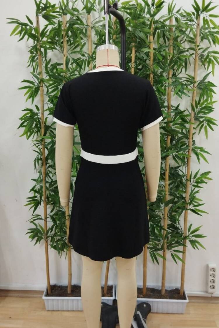 Black Elegant A-Line Mini Dress With Short Sleeves