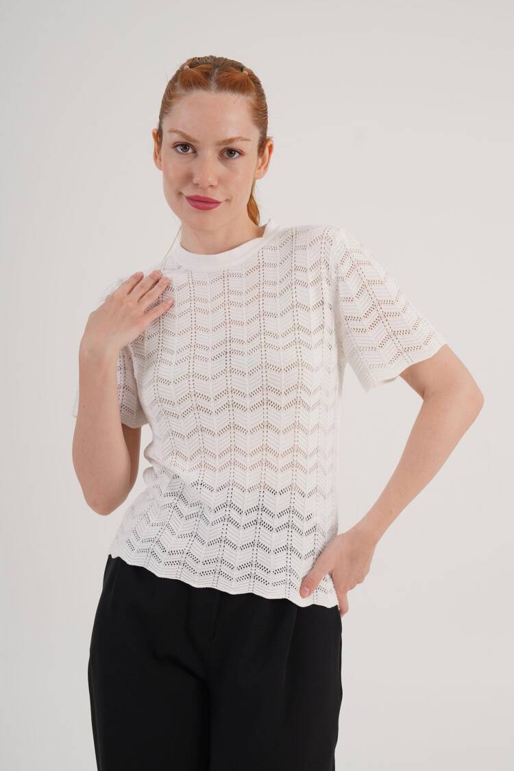 Casual Elegant Blouse With Crew Neck