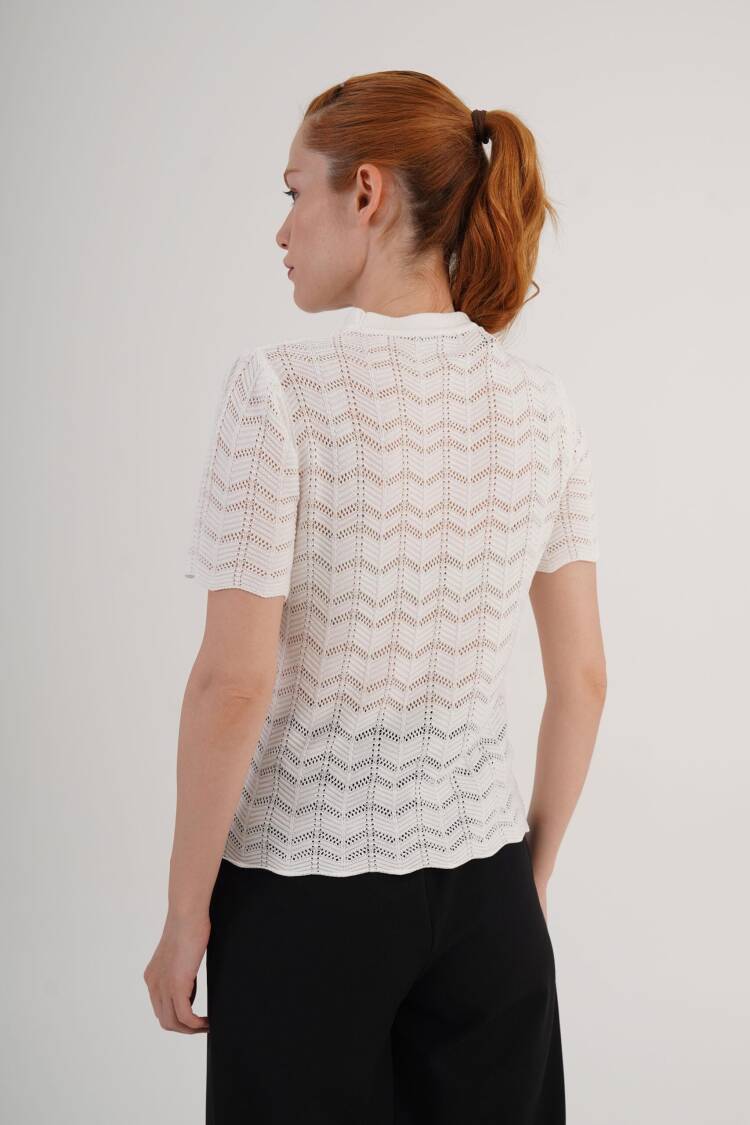 Casual Elegant Blouse With Crew Neck