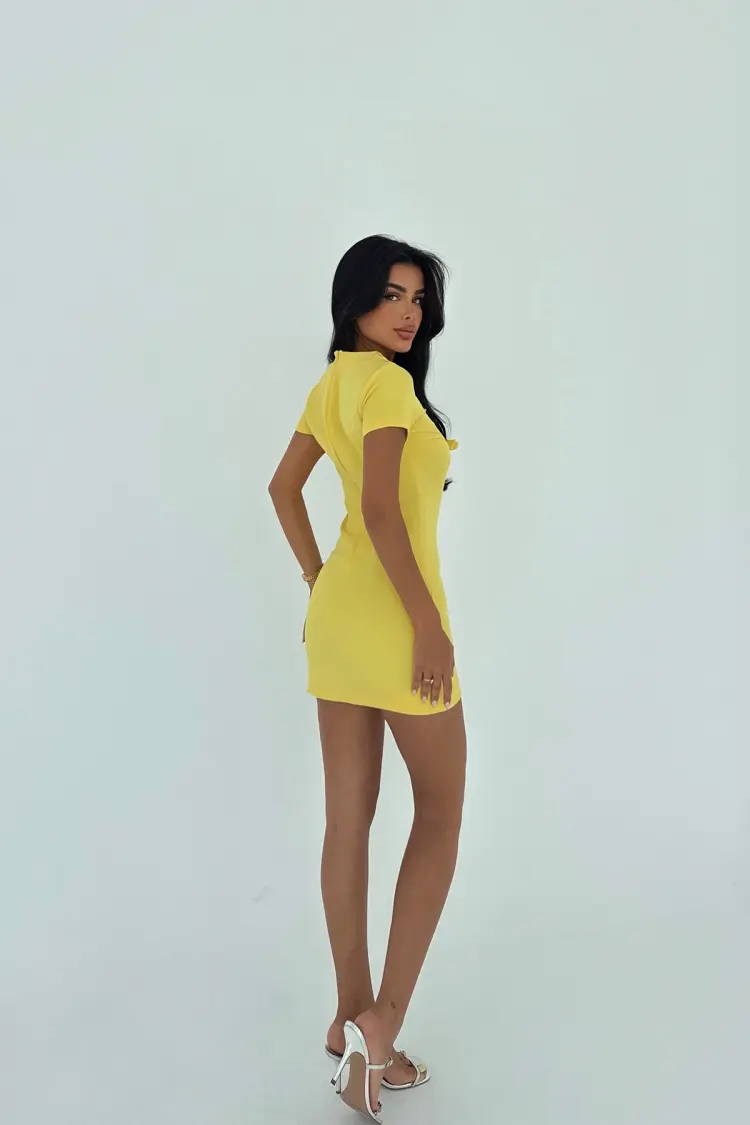 Bodycon Mini Dress With Short Sleeves