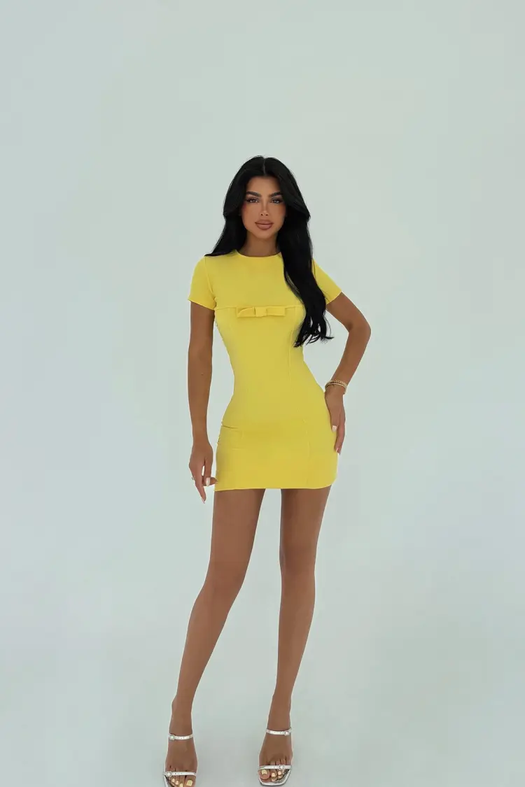 Bodycon Mini Dress With Short Sleeves