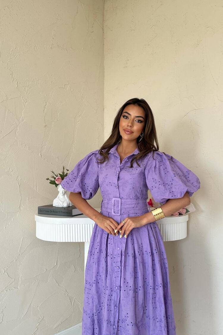 Balloon Sleeve Pleated Dress