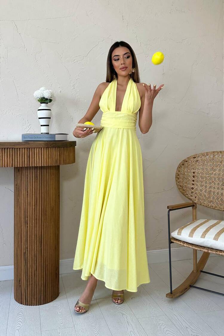 Elegant Fit And Flare Maxi Dress