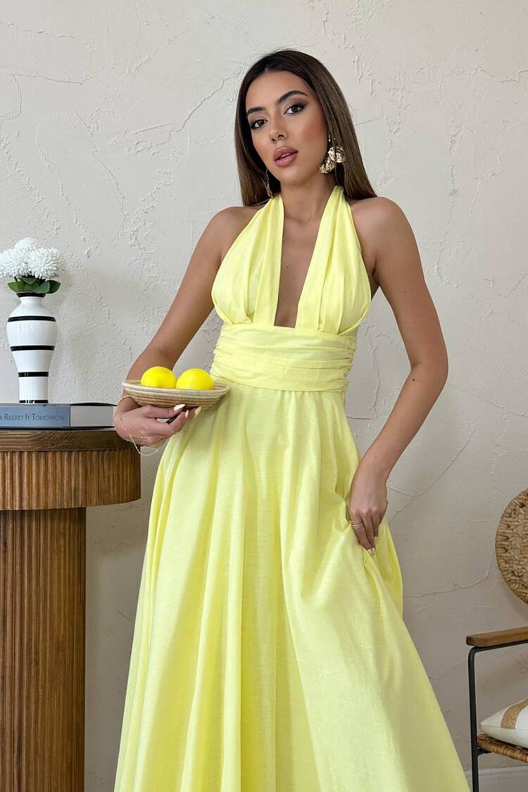 Elegant Fit And Flare Maxi Dress