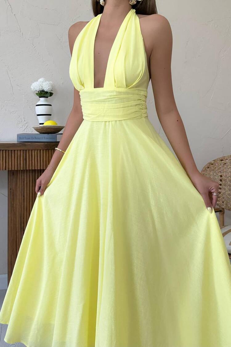 Elegant Fit And Flare Maxi Dress
