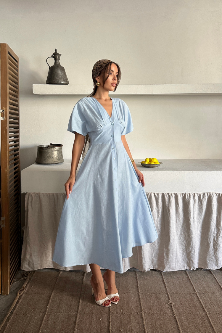 Fit And Flare Dress With Butterfly Sleeves