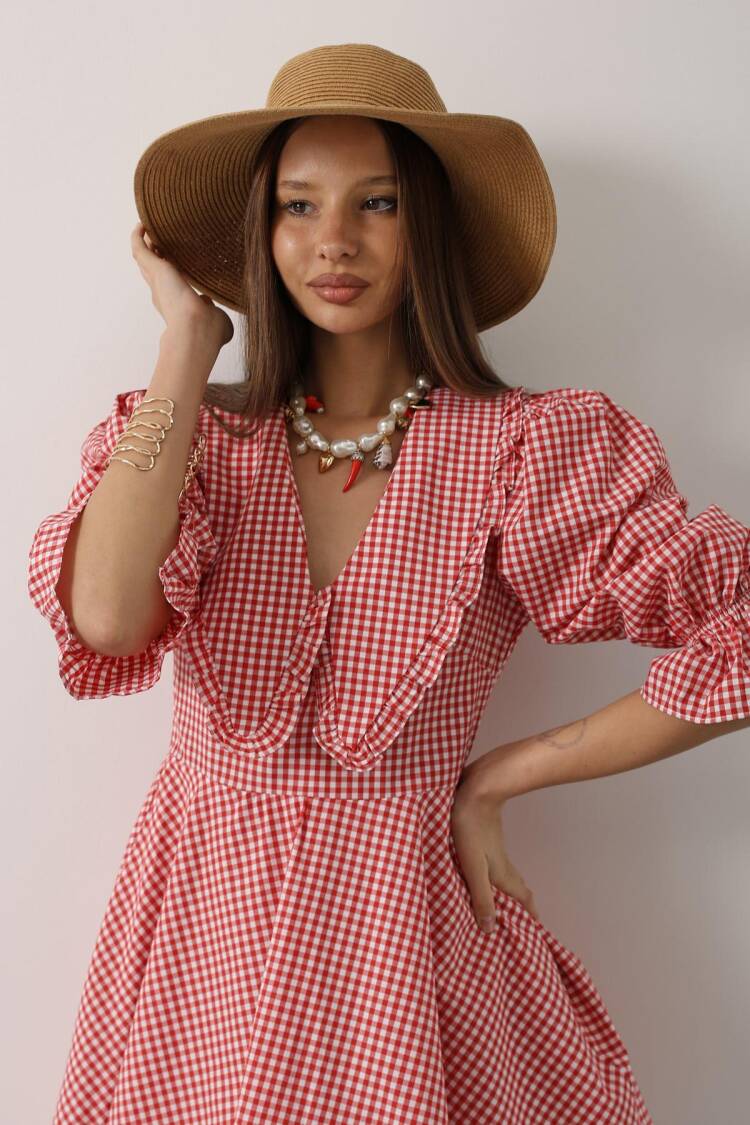 Fit And Flare Mini Dress With 3/4 Puff Sleeves