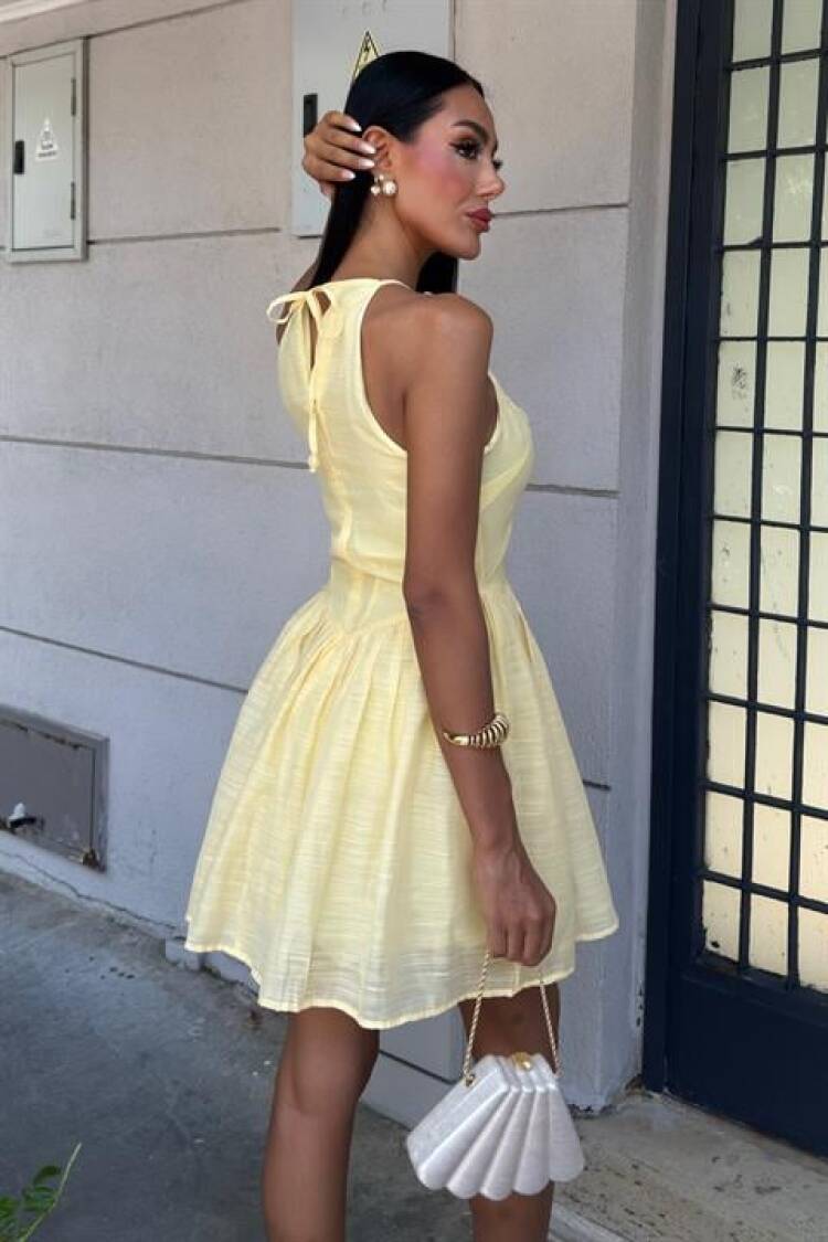 Sleeveless Fit And Flare Mini Dress