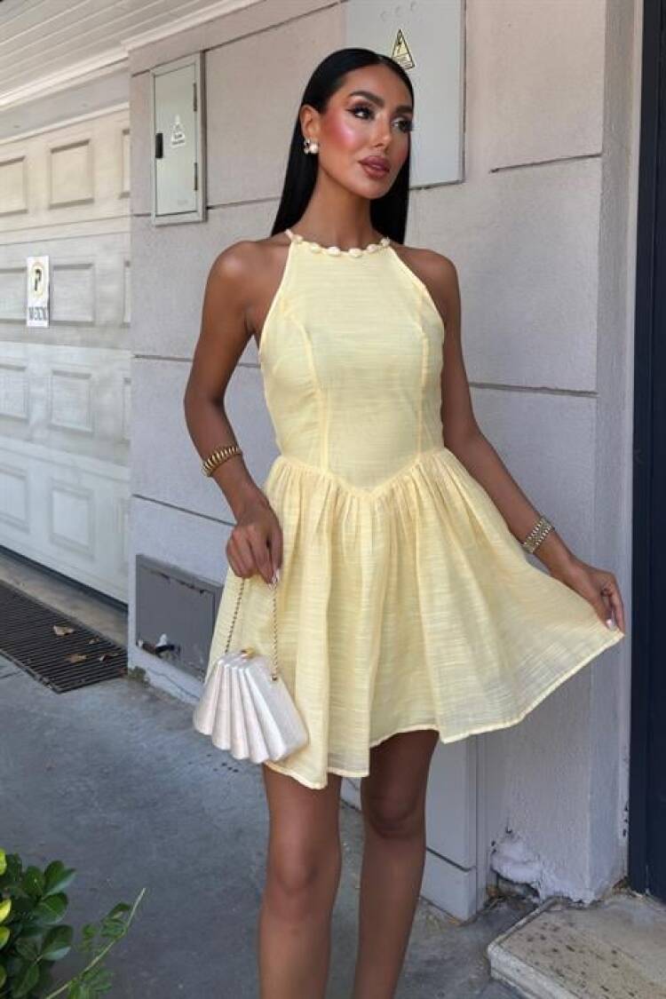 Sleeveless Fit And Flare Mini Dress