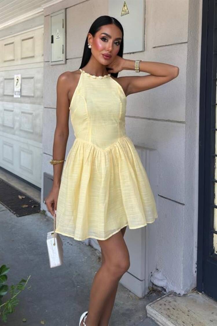 Sleeveless Fit And Flare Mini Dress