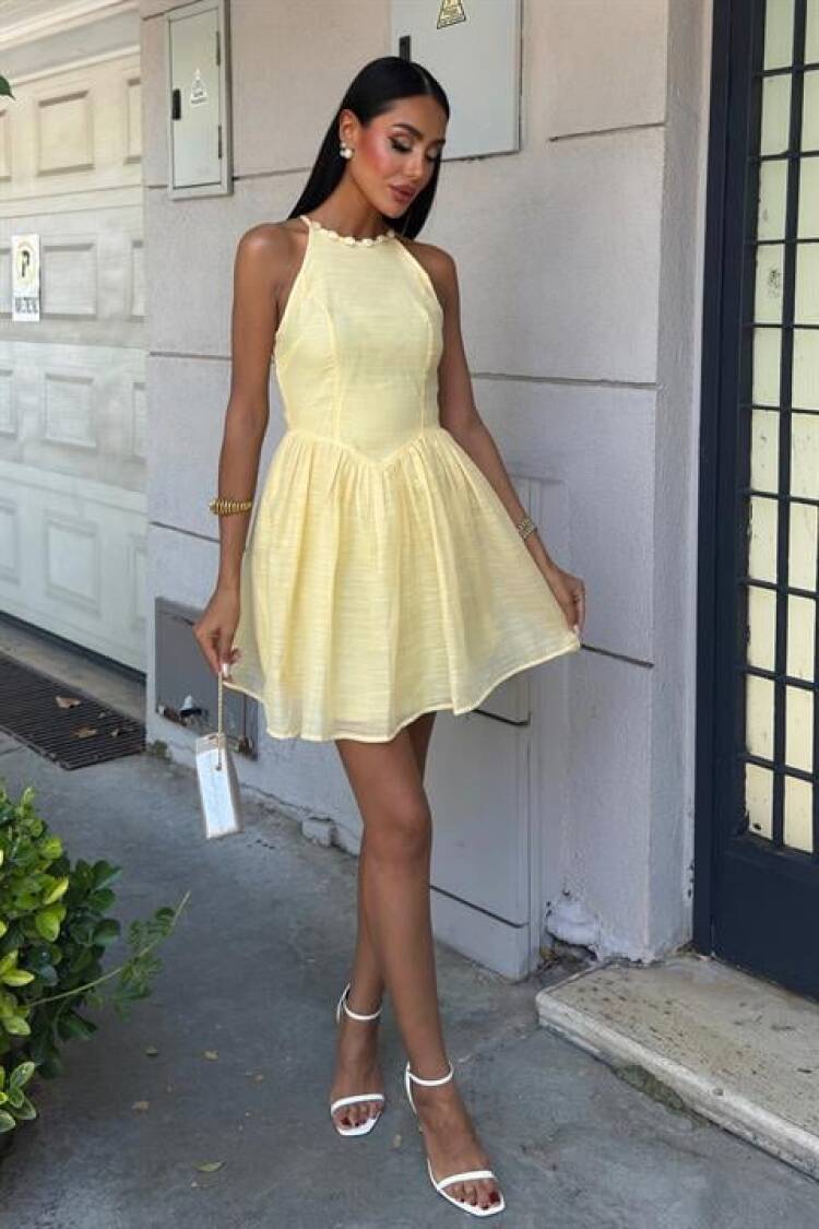 Sleeveless Fit And Flare Mini Dress