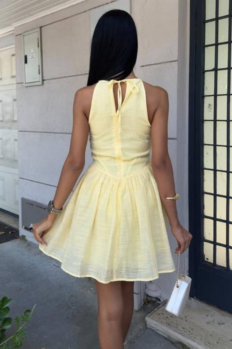 Sleeveless Fit And Flare Mini Dress