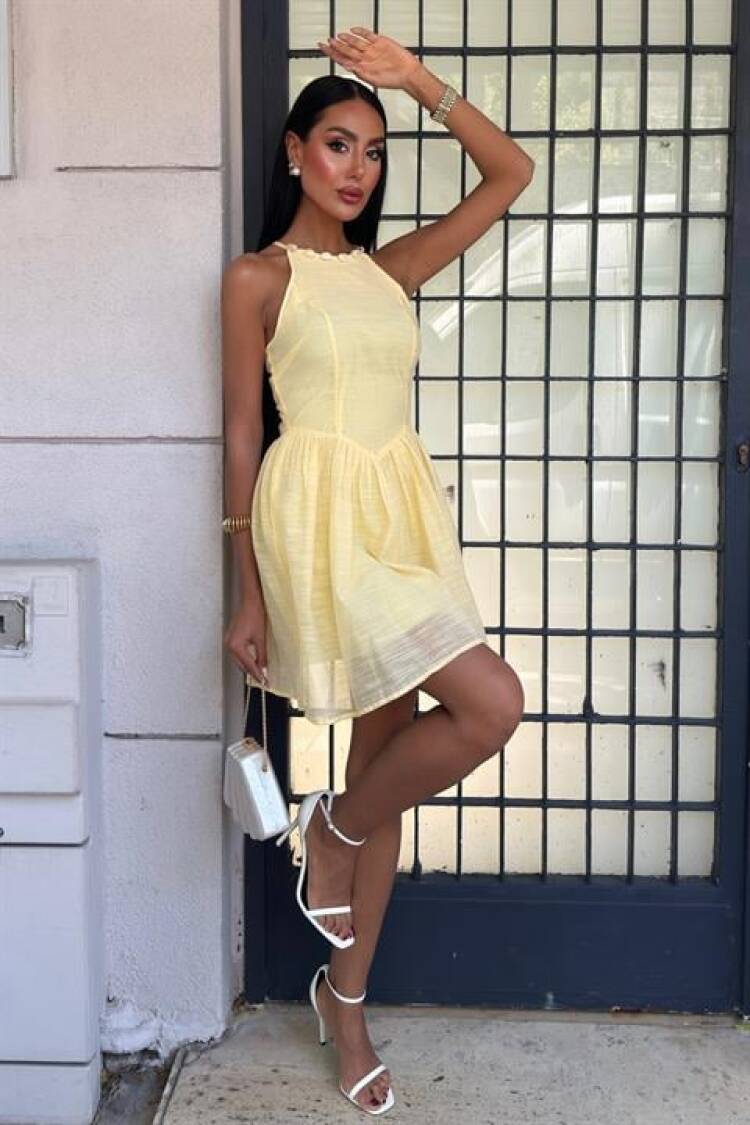 Sleeveless Fit And Flare Mini Dress