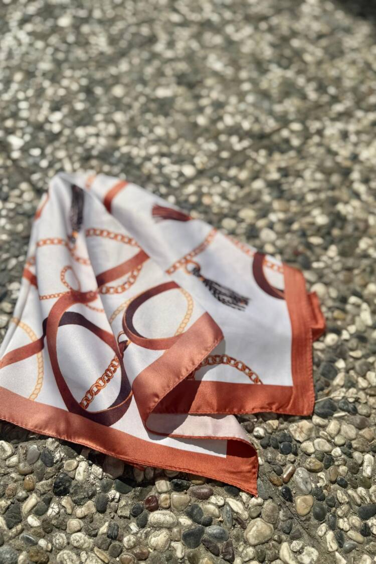 Brown Elegant Shawl