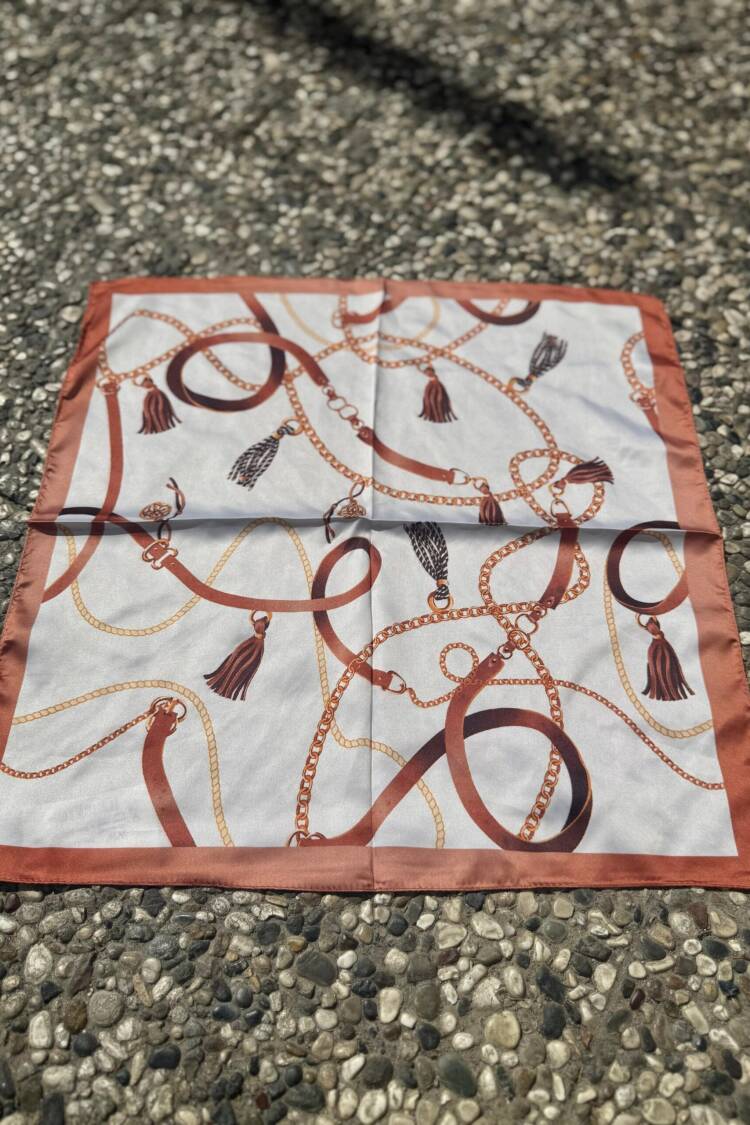 Brown Elegant Shawl