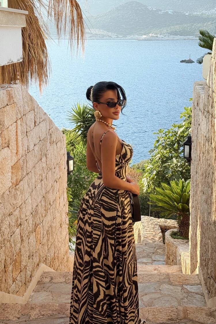 Black Zebra Print Fit And Flare Dress