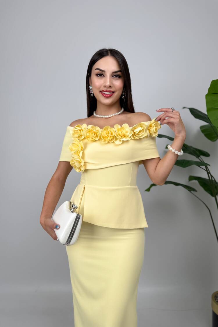 ElegantSheath Dress With Off Shoulder Neck