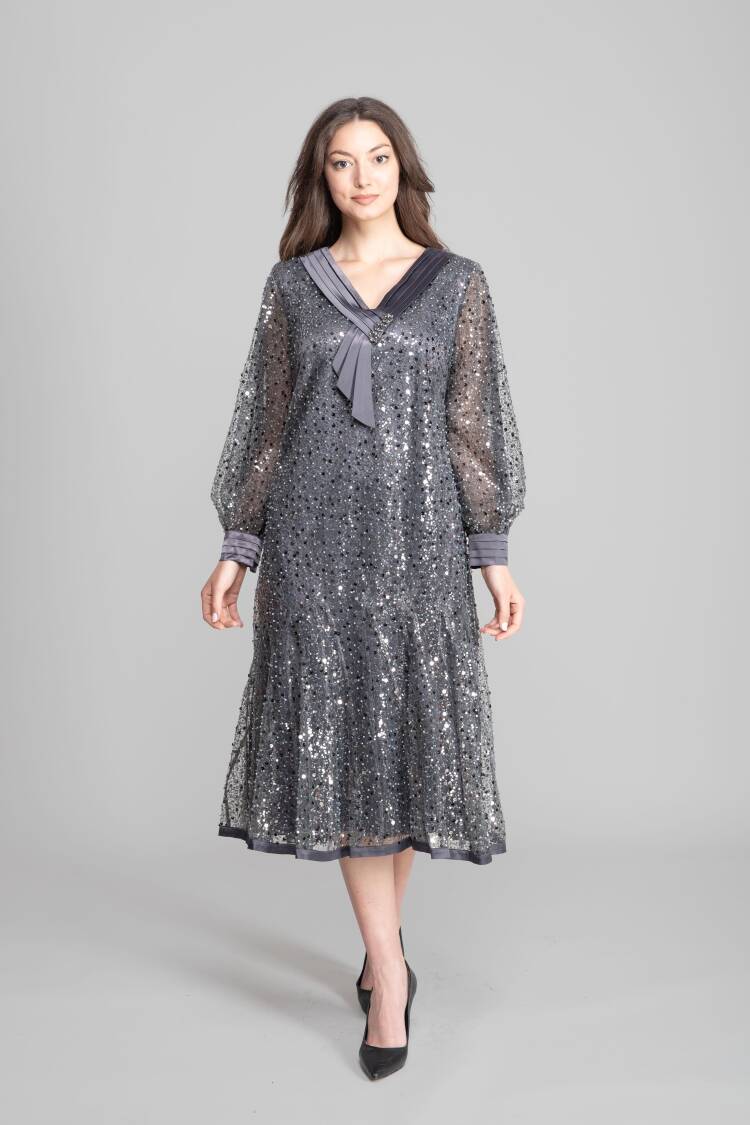 Silver Elegant A-Line Sequined Dress