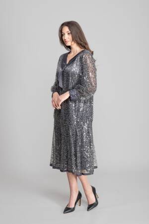 Silver Elegant A-Line Sequined Dress