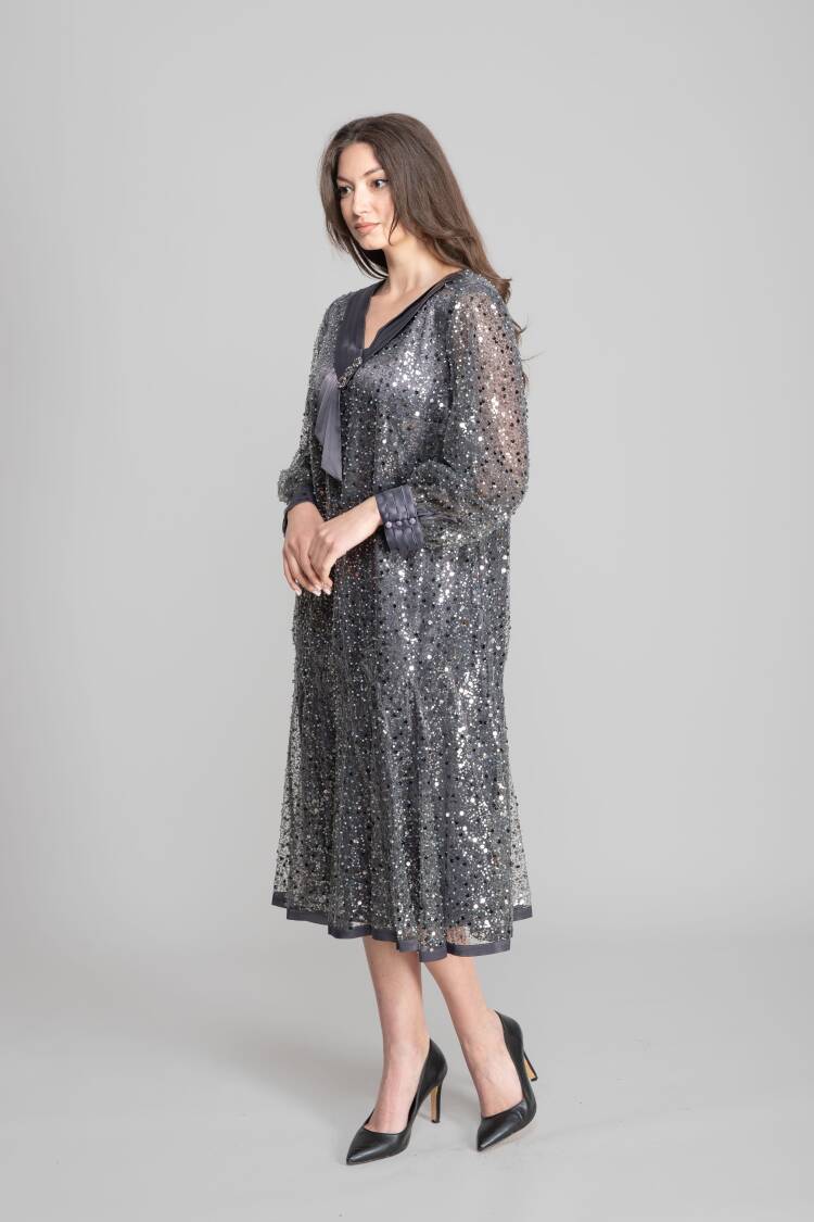 Silver Elegant A-Line Sequined Dress