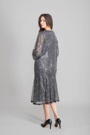 Silver Elegant A-Line Sequined Dress