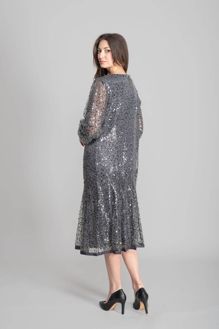 Silver Elegant A-Line Sequined Dress