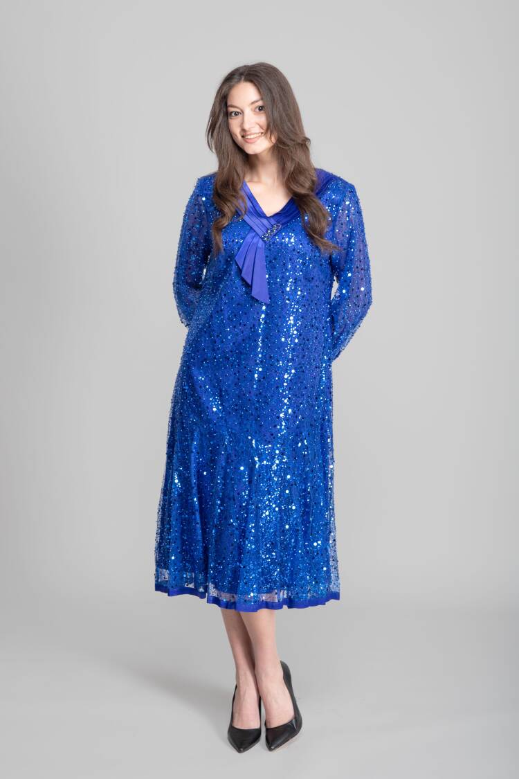 Blue Elegant Formal Glam Dress