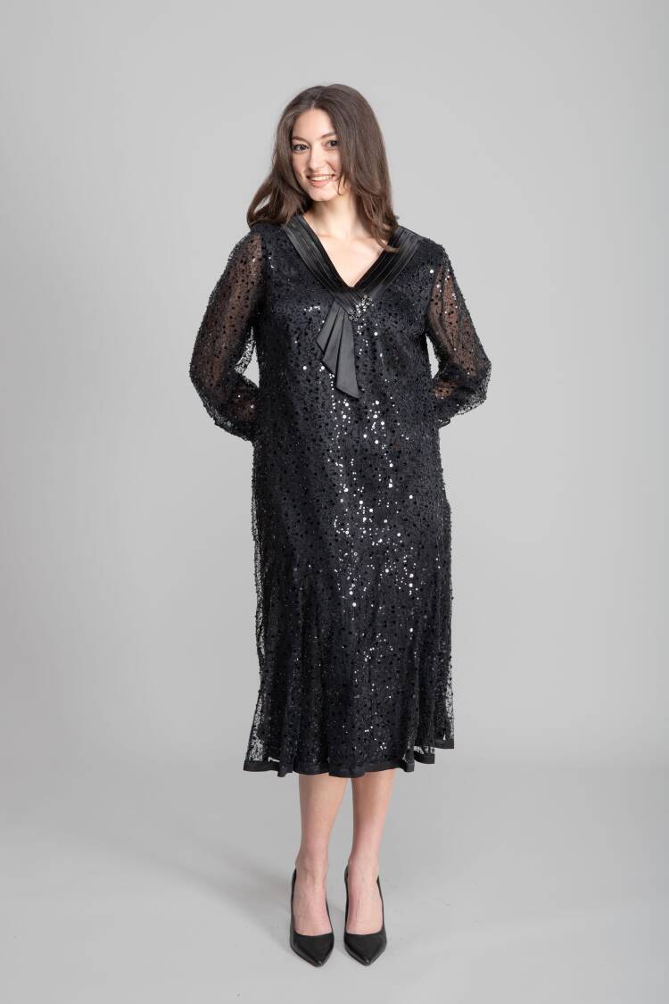 Elegant Sequined Fit And Flare Dress